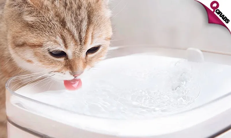 Xiaomi Smart Pet Drinking Fountain!